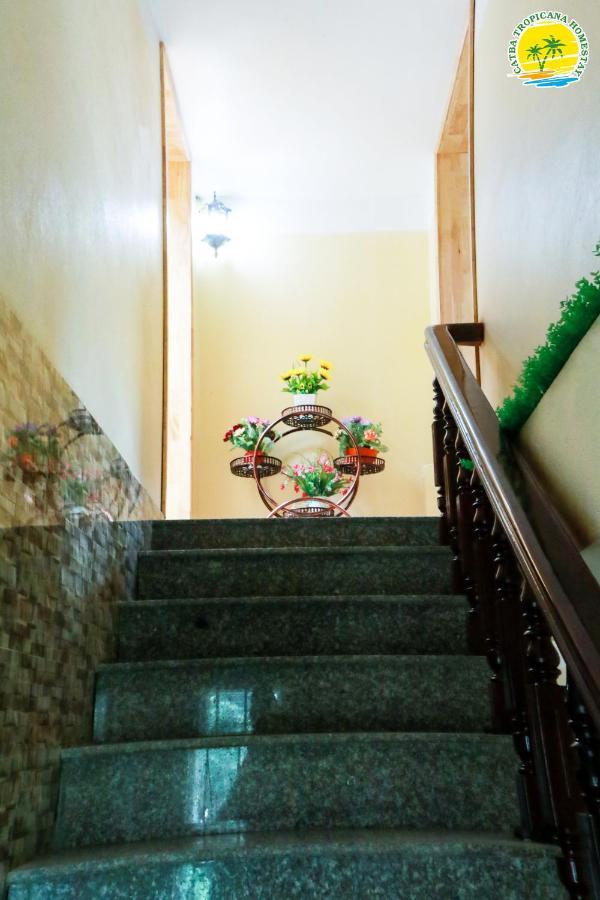 Cát Bà Vintage Homestay Cat Ba Island Esterno foto